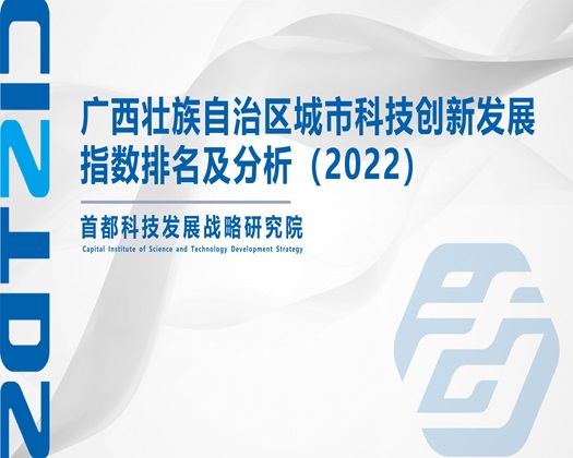 能看草逼的免费网站【成果发布】广西壮族自治区城市科技创新发展指数排名及分析（2022）